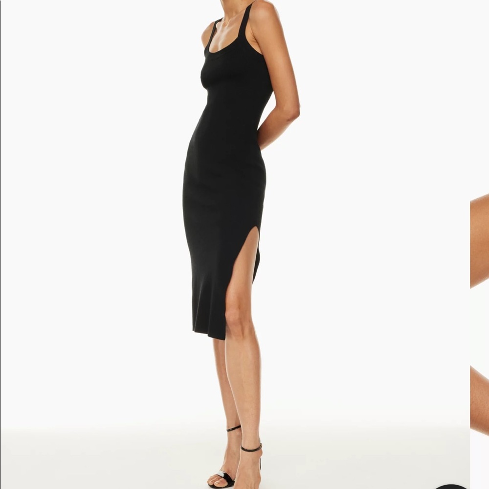 Aritzia Babaton Chase Dress